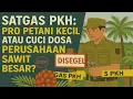 Download Lagu Pemerintah Bongkar Skandal Lahan Sawit Ilegal: Ini Solusinya!
