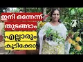 Download Lagu ഇനി ഒന്നേന്ന് തുടങ്ങാം എല്ലാരും കൂടിക്കോ | Terrace garden starting from zero | Chilli jasmine