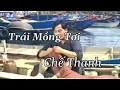 Download Lagu Trái Mồng Tơi - Chế Thanh - Tình Xuân 2 (1996)