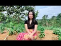 Download Lagu SUDAH LAMA DITUNGGU II NENG INEU JANDA DESA YANG CANTIK AKHIRNYA KEMBALI KE KEBUN LAGI SEMOGA BETAH