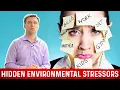 Hidden Environmental Stressors - Dr Berg