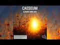 Lagu Caeseum - Feed Your Soul | Drum and Bass