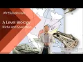 Niche and speciation - A Level Biology