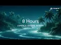 Download Lagu Jungle Shore Night: 8 HR Deep Sleep Ambience | Soothing Jungle Sounds \u0026 Ocean Waves for Relaxation