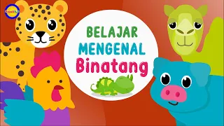 Download Belajar Mengenal Suara Binatang Lucu untuk Balita - Video Edukasi Anak Indonesia MP3