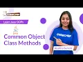 Common Object Class Methods OOPs using Java Codechef Learn