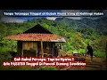 Download Lagu Kaget..Jumpa Pasutri Di Puncak Gunung Yang Tinggal Di Gubuk Di Kelilingi Hutan.