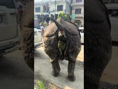 An unscrollable video you should send to your friend