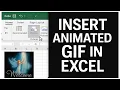 Excel VBA Tutorial Add a Moving GIF Inside Your Worksheet