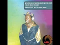 Ndibvumbamireiwo