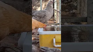 Https Youtu Be S F1QGvSuxA Si 3y2p DsrXstvCj3c Full Movie Link 