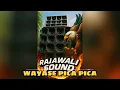 Download Lagu C.M.T_WAYASE PICA_PICA_REMIX(CR) 2025