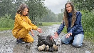 Our Baby Chicks Got Caught in the Rain