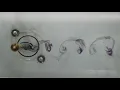 MAE399 Flow Visualization // Zebra - Beach House