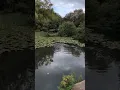 Download Lagu Hardwick hall from the lakes 🍃🍄 #greenandpleasantland #mentalhealth #nature #wildlife #countryside
