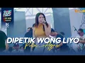 Download Lagu PUTRI AGNI - DIPETIK WONG LIYO || ONE PRO X SRIWIJAYA AUDIO (LIVE TEAM HORE)
