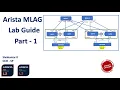 Lagu How to configure Mlag in Arista EOS switches - Multi-chassis Link Aggregation Lab Guide
