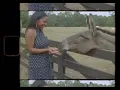 Cleo Sol – Things Will Get Better (Super 8 Film by A.M.T)