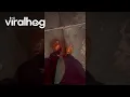Download Lagu DC-ratten zijn iets anders || ViralHog