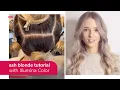 Ash Blonde Hair Color Tutorial with BlondorPlex and Illumina Color Wella Professionals