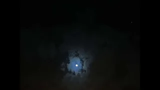 انا وانت وهدا الليل والقمر نذوب حبا ولا يدري بنا البشر دندنها