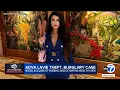 Details emerge on theft allegations against jailed LA model Adva Lavie