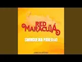Download Lagu Red De Maracujá - Swingueira Paredão