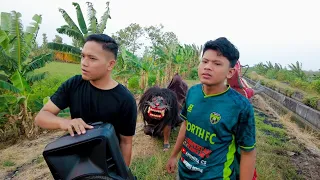 Pengamen apes diganggu barongan 