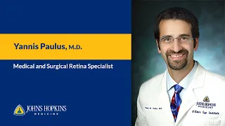 Dr Yannis Paulus Medical and Surgical Retina