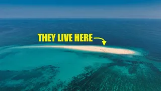 the Remote VEZO Tribe