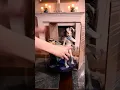 Download Lagu Five Nights at Freddy's: Security Breach Vanny and Vanessa Statue Unboxing | Zeldix #shorts