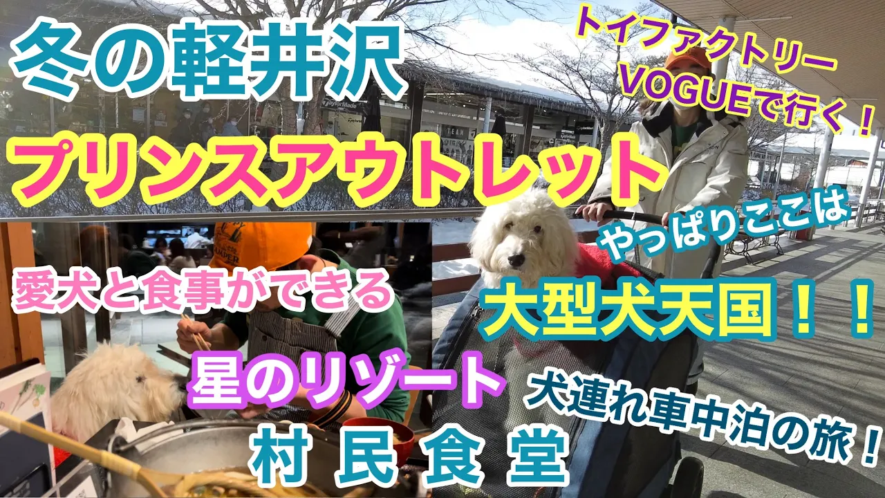 冬の軽井沢へ行ってまたまた大型犬天国を満喫! 犬連れ車中泊旅!