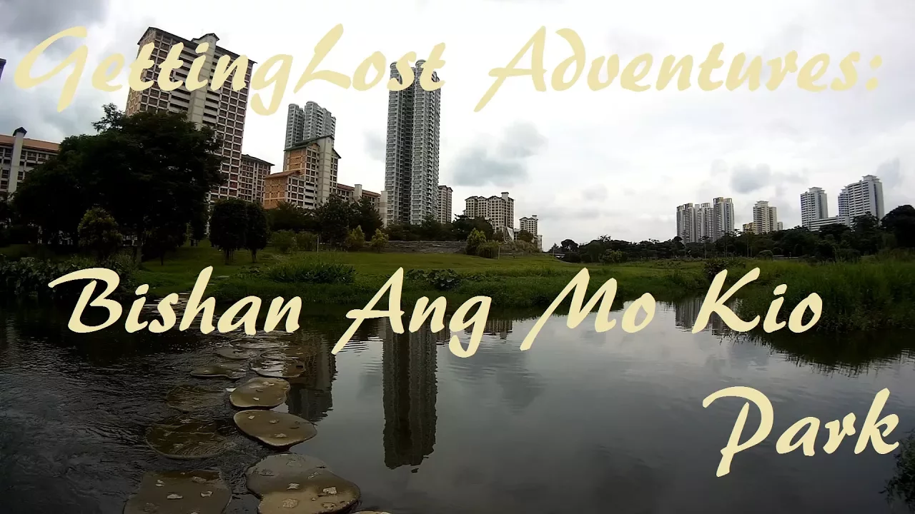 Bishan Ang Mo Kio Park. Visit the Kallang River the way it is suppose to be.