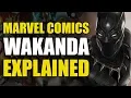 Marvel Comics Wakanda Explained