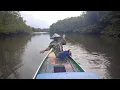 Download Lagu ternyata di sungai Kalimantan Utara ikan nya masih melimpah #mancingmuarah