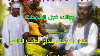 الفنان عبدالرحيم العوض ودعصار 