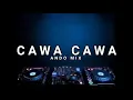 Download Lagu CAWA CAWA Ando Mix edit 2025