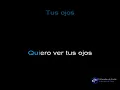 Los Locos del ritmo Tus Ojos Karaoke