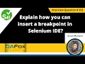 Explain how you can insert a break point in Selenium IDE Selenium Interview Question