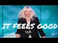 Download Lagu Sia - It Feels Good [2025 Music Video]