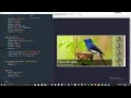 Photo Gallery in JS - JavaScript Tutorials Web Development Tutorials