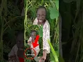 Download Lagu 9 milian Tenge Tenge 🤣😃 tange tange comedy tiktok | #tenge #viral #trending #shorts  #youtubeshorts