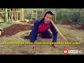 Download Lagu Story WA lucu (mundur alon alon)