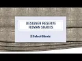 Designer Reserve Roman Shades from SelectBlinds com