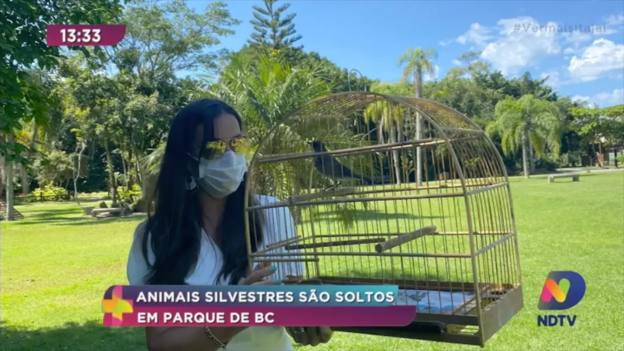 Animais silvestres são soltos em Balneário Camboriú