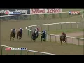 Download Lagu Racehorse shows incredible burst of speed