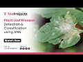Plant Leaf Disease Detection Classification using ANN