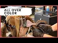 All Over Hair Color - Single Process Color Application With a Bowl and Brush