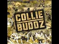 Collie Buddz - [ Collie Buddz ] Blind To You  HQ