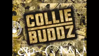 collie buddz collie buddz blind to you hq